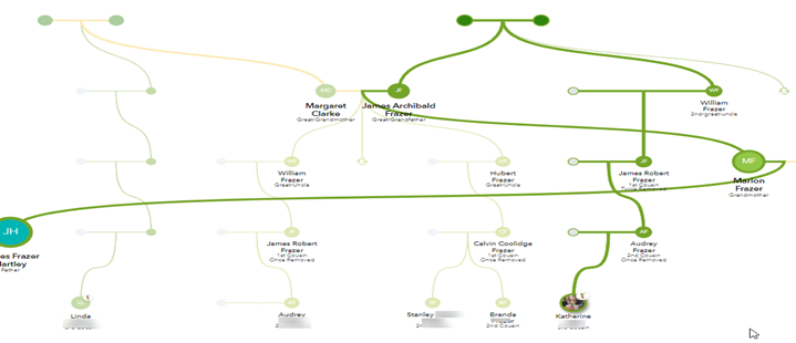 Update 23andMe DNA Matches and Trees
