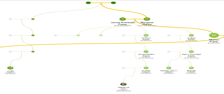 Update DNA Matches and Trees