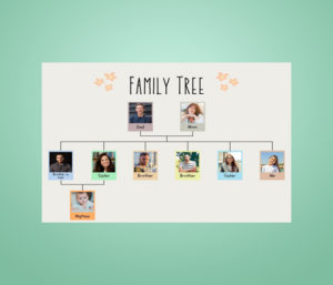 Best Family Tree Creator Apps in 2024